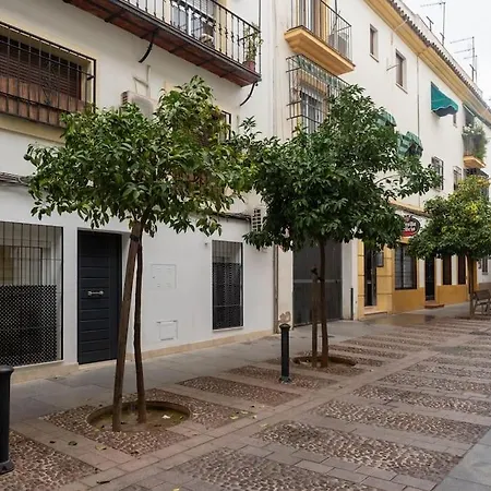 Bhost - La Sacristia 2 * Cordoba